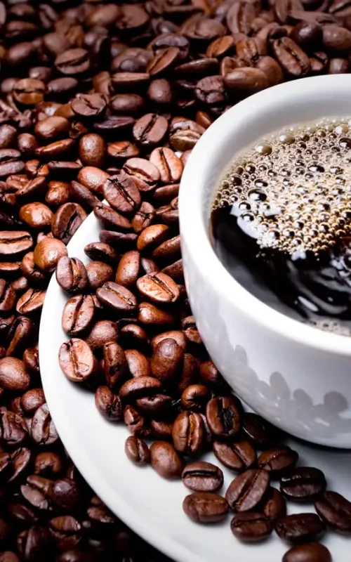 Cafes en el jardcin de rita cafe bar